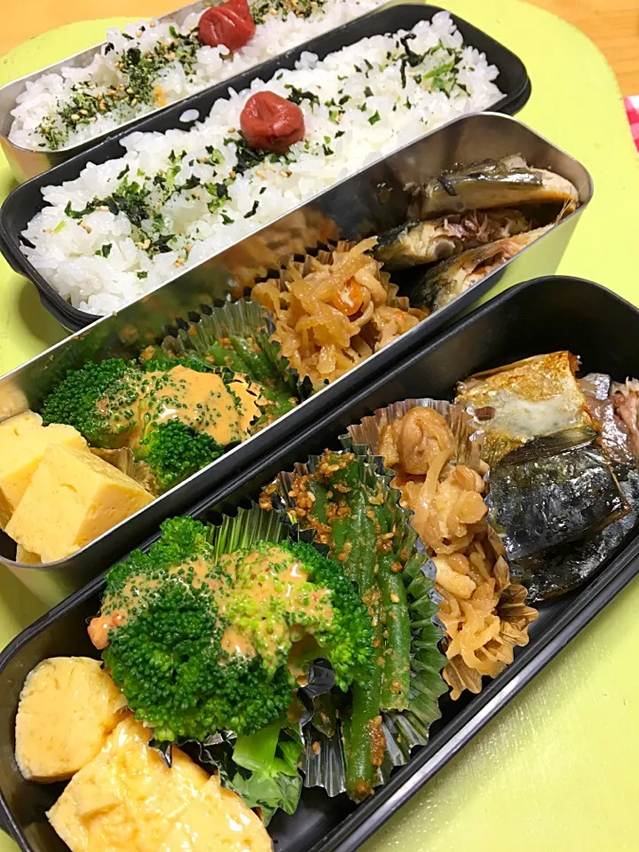 Snapdishの料理写真:塩サバ 切り干し大根 インゲン胡麻和え ブロッコリー 卵焼き弁当。|Kumiko Kimuraさん