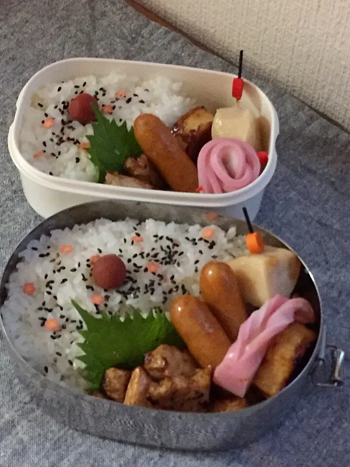 今日のお弁当🍱161111|Lilyさん