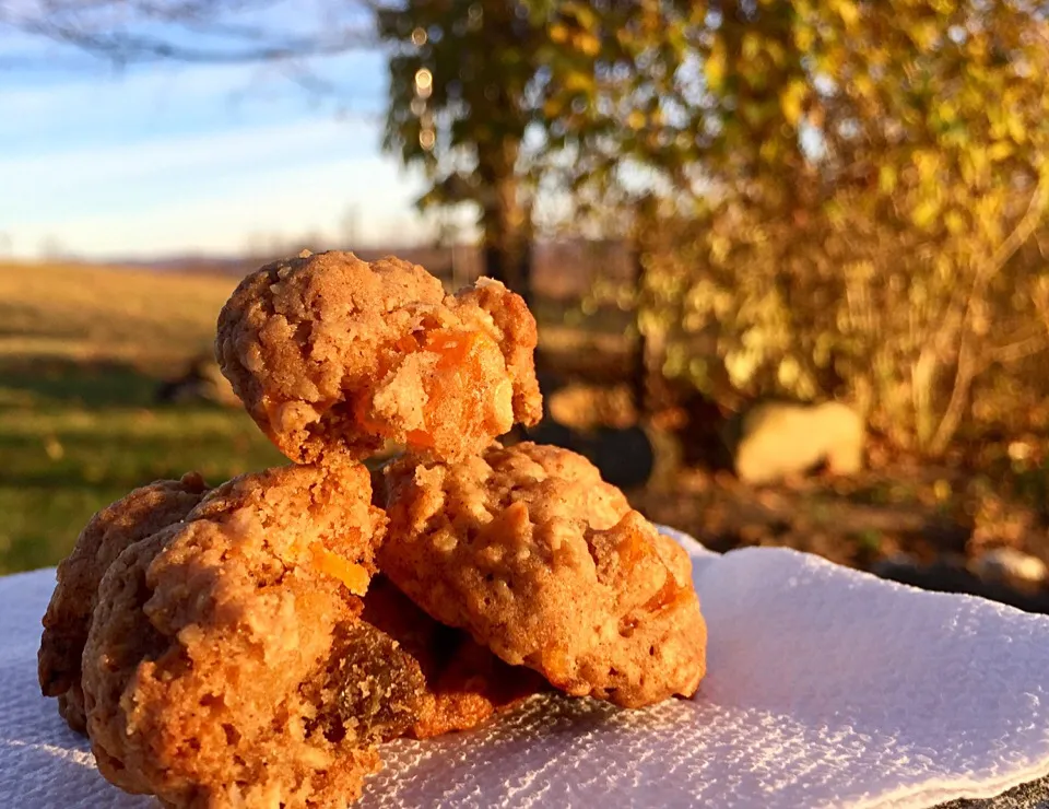 Oatmeal apricot spice cookies|Dean M Rogersさん