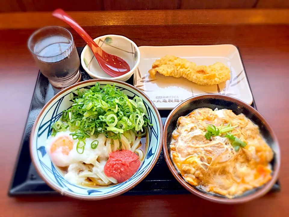 丸亀製麺 とろ玉うどん➕明太子と親子丼に、かしわ天(^o^)/
ネギはたっぷり目に！！|TOMOさん