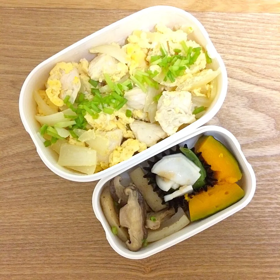 11/14 お弁当|はまみさん