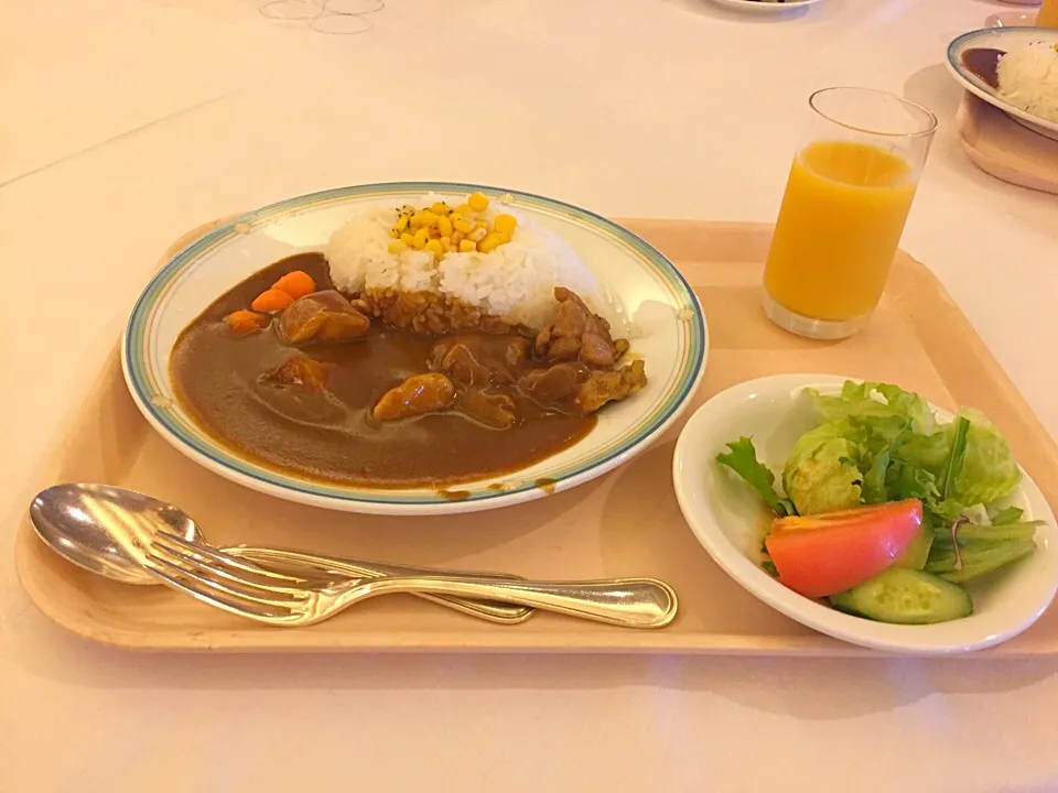 カレー|かえさん