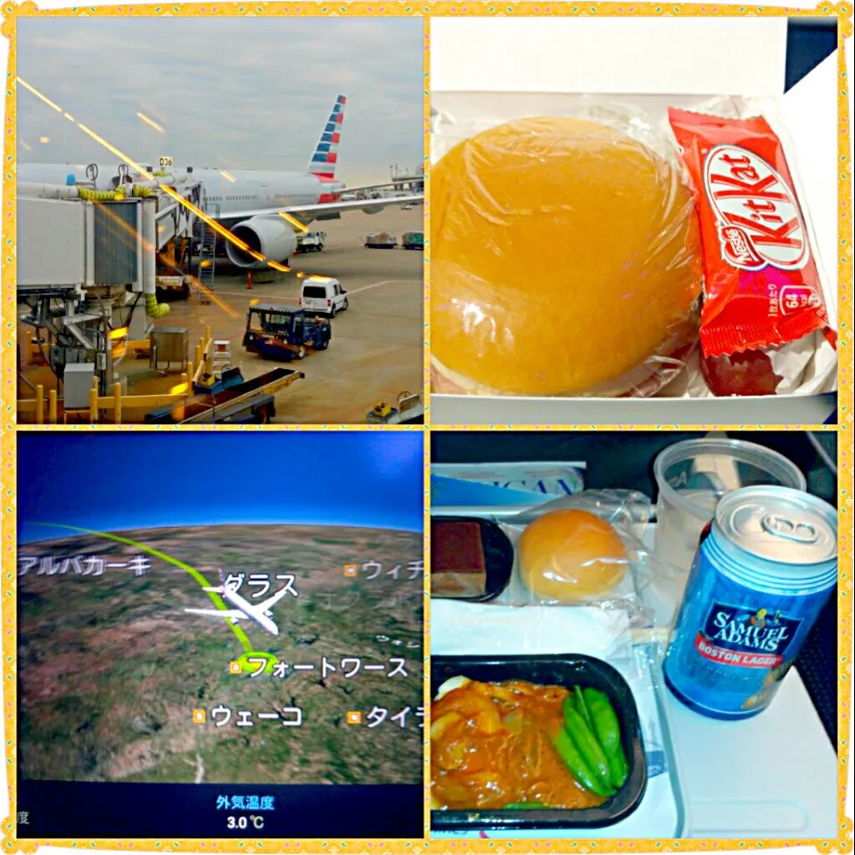 Snapdishの料理写真:11/14 dallas fortworth in US(on the american airline) #機内食|タップダンスシチーさん