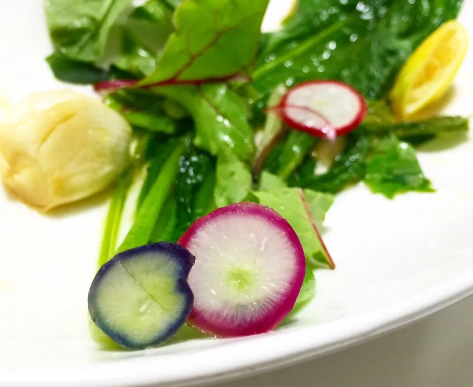 Just fried radish leaves and garlic
So Marvelous
We would like to buy organic vegetables|Hiroo  Higuchiさん