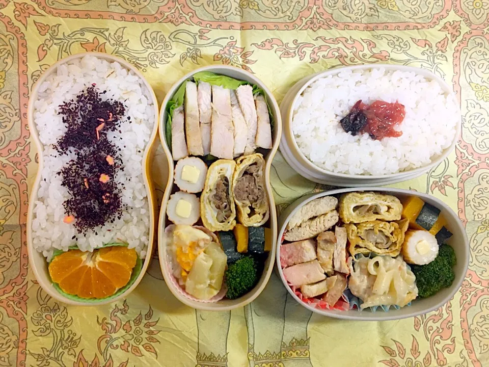 Snapdishの料理写真:父の作るお弁当 2016/11/15|じゅんさん