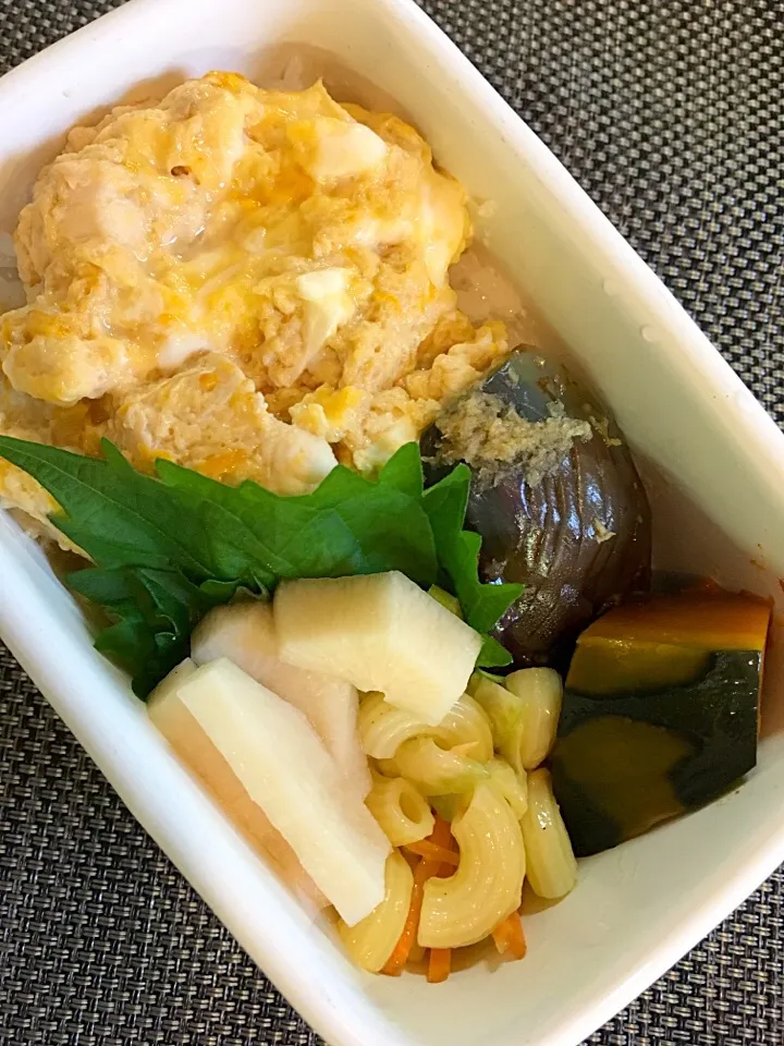 Snapdishの料理写真:親子丼弁当|mikiさん