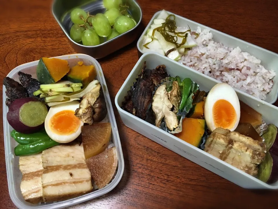 11/15 お弁当|もっちさん