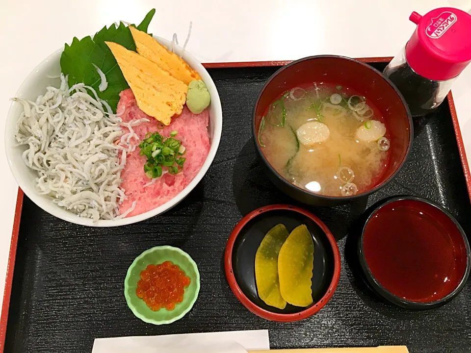 シラスとネギトロ丼

アウトレットでランチ|Naomi.fさん