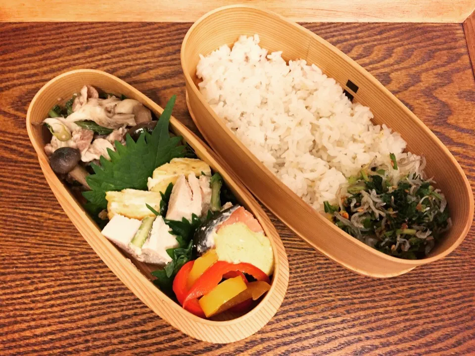 Snapdishの料理写真:今日のお弁当。豚肉ときのこと青梗菜のピリ辛和え、鶏ハム、サーモンマリネ、パプリカのポン酢和え、大根葉のふりかけ。|Junさん