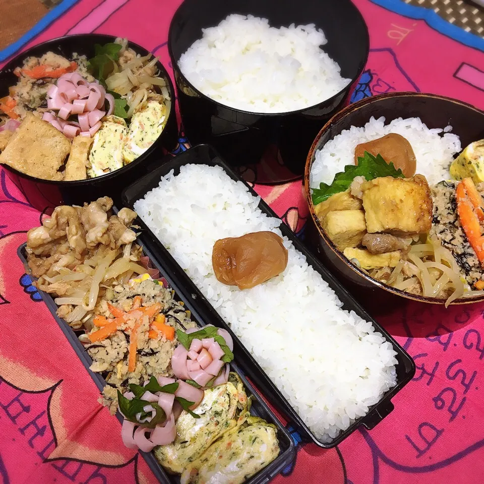 今日のお弁当〜(*'ω'*)

雪が積もったわぁ❄️|renharuruさん