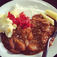 Snapdishの料理写真:酸っぱいカレー🍛|みほたんさん