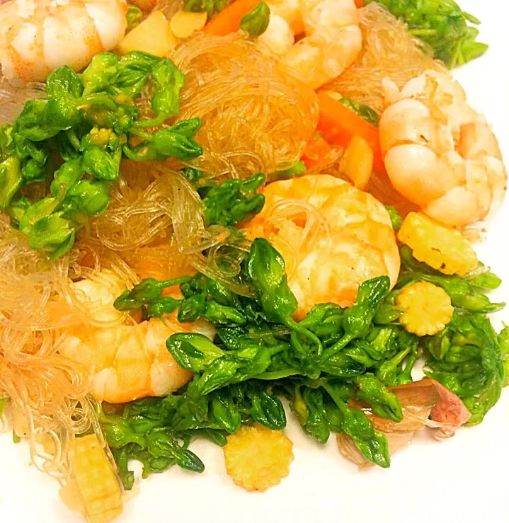 ผัดวุ้นเส้นดอกขจรกุ้ง Glass Noodle with Cowslip creeper and Shrimp|SaSaさん