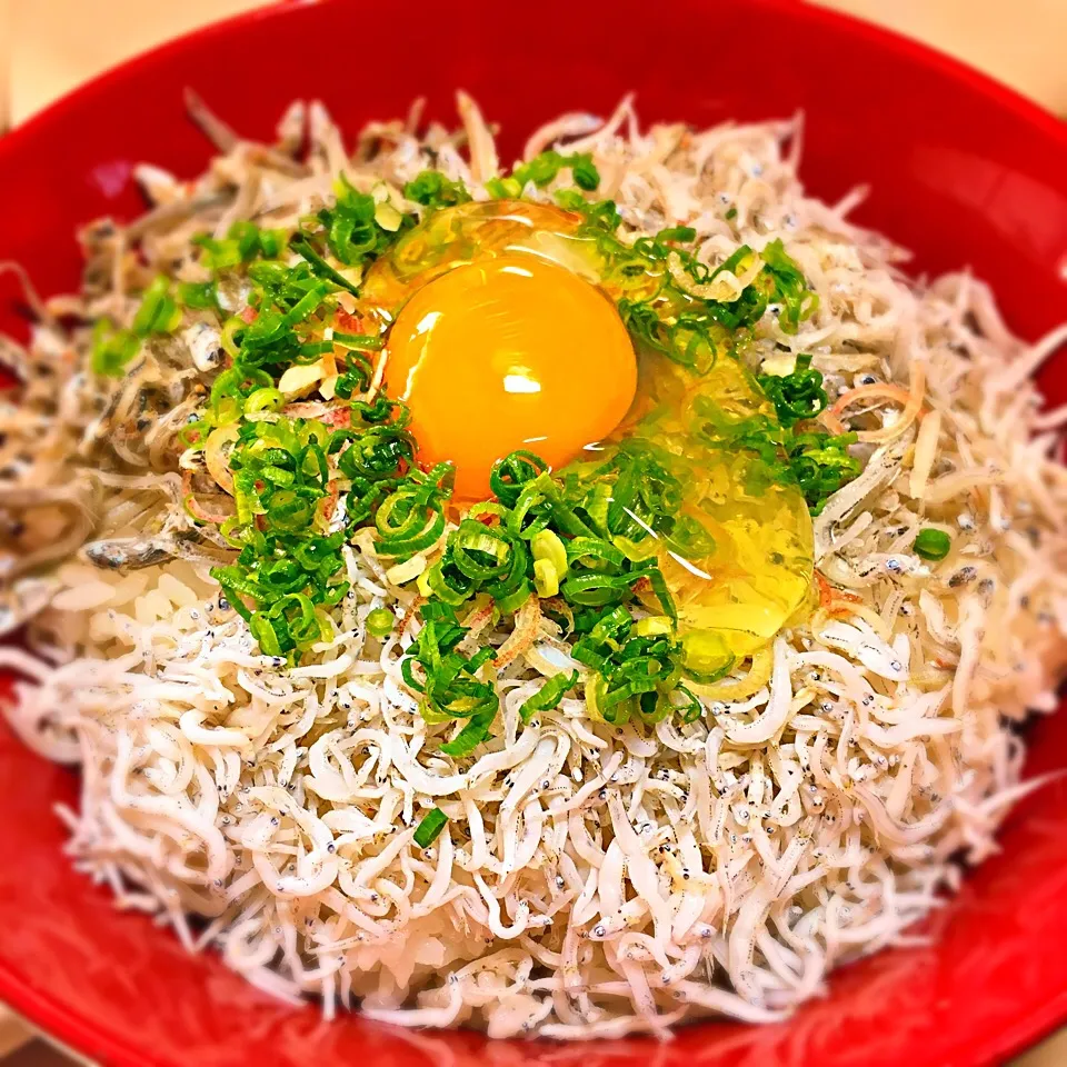 朝丼『ちりめん三種丼』|ち〜おんさん