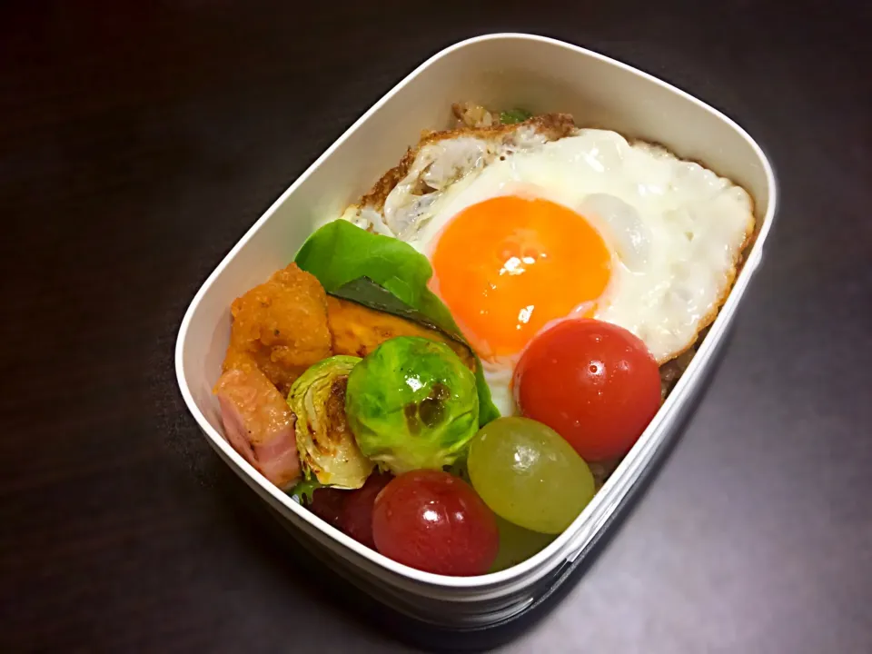 Snapdishの料理写真:11月17日娘のお弁当|千鶴さん