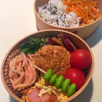 Snapdishの料理写真:曲げわっぱ弁当|きちきちさん