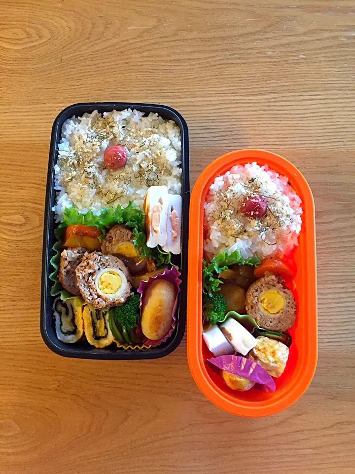 Snapdishの料理写真:煮込みハンバーグ＊弁当♪|hiromiさん