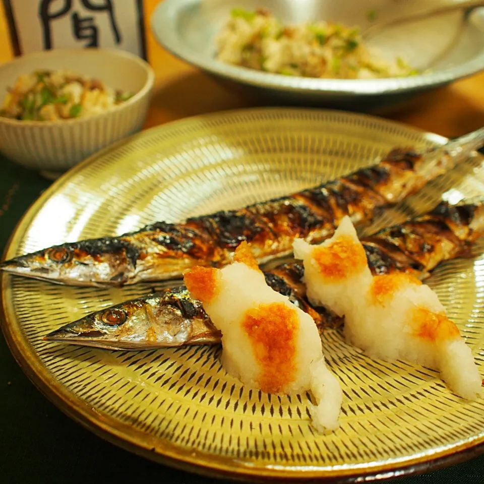 猫おろしで家庭円満（≧∇≦）|ゆーさんさん