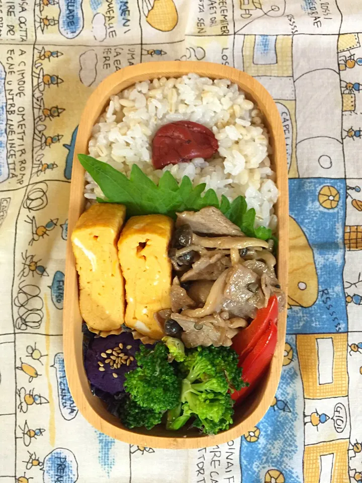 女子高生弁当|yuganさん