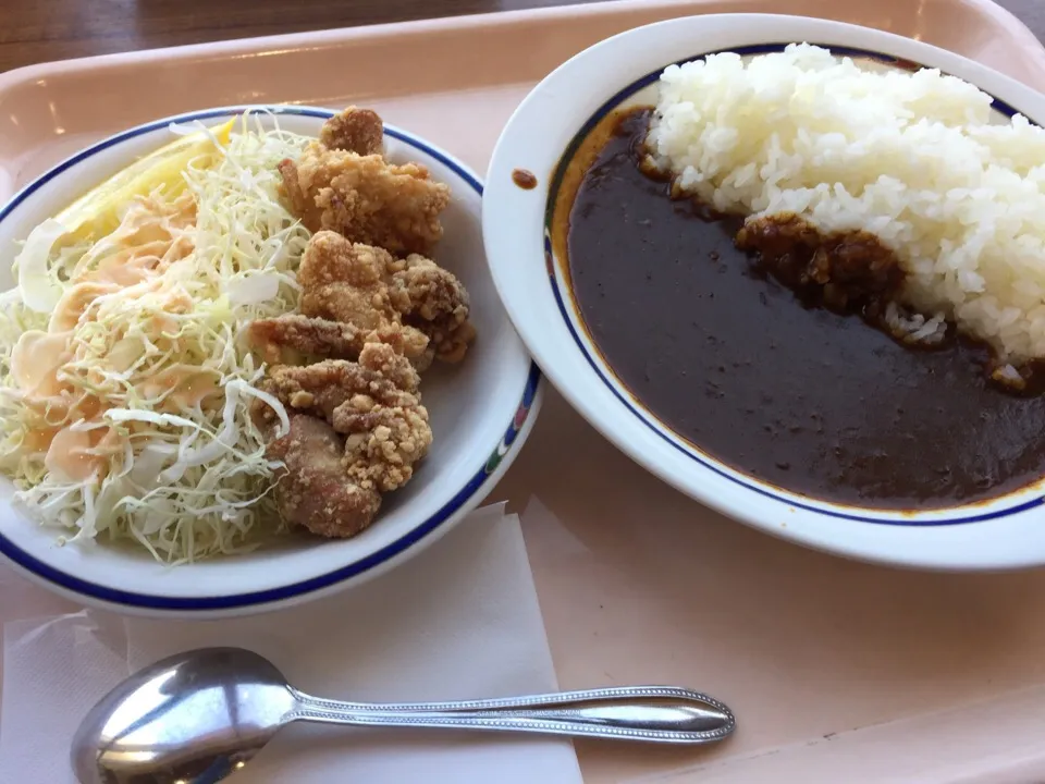 Snapdishの料理写真:本日の日替わり定食🍛ワンコイン|Kojiさん