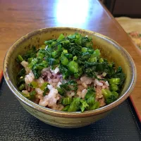 やましお菜のご飯|花子さん