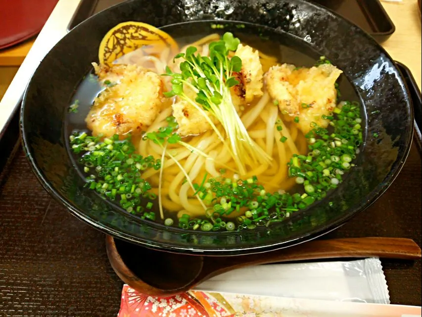 手打ちうどん 紅屋  鶏天うどん|hamamaさん