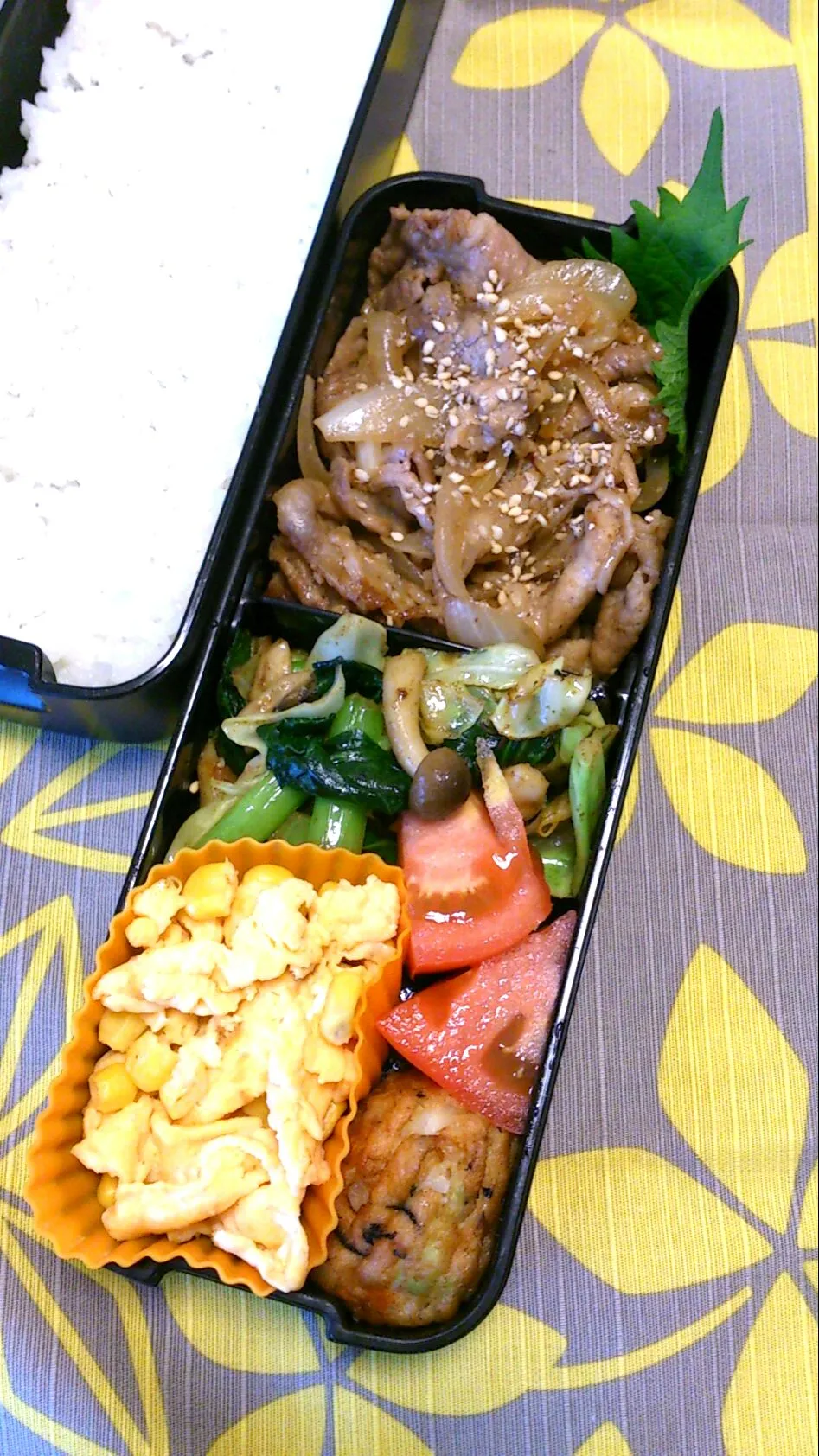 Snapdishの料理写真:お弁当 20161117|あすかさん