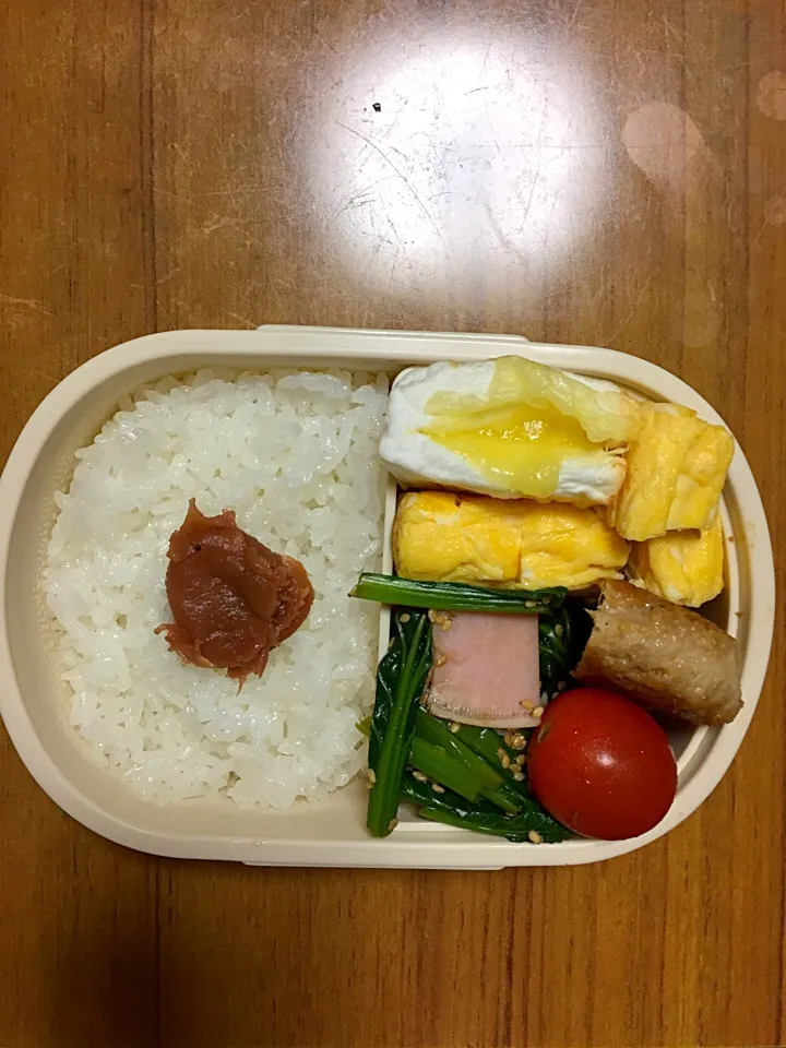 11月21日のお弁当🎨|himeさん