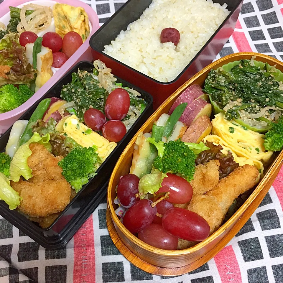 11/21 中学男子のお弁当&パパ弁&母弁|おおけいさん