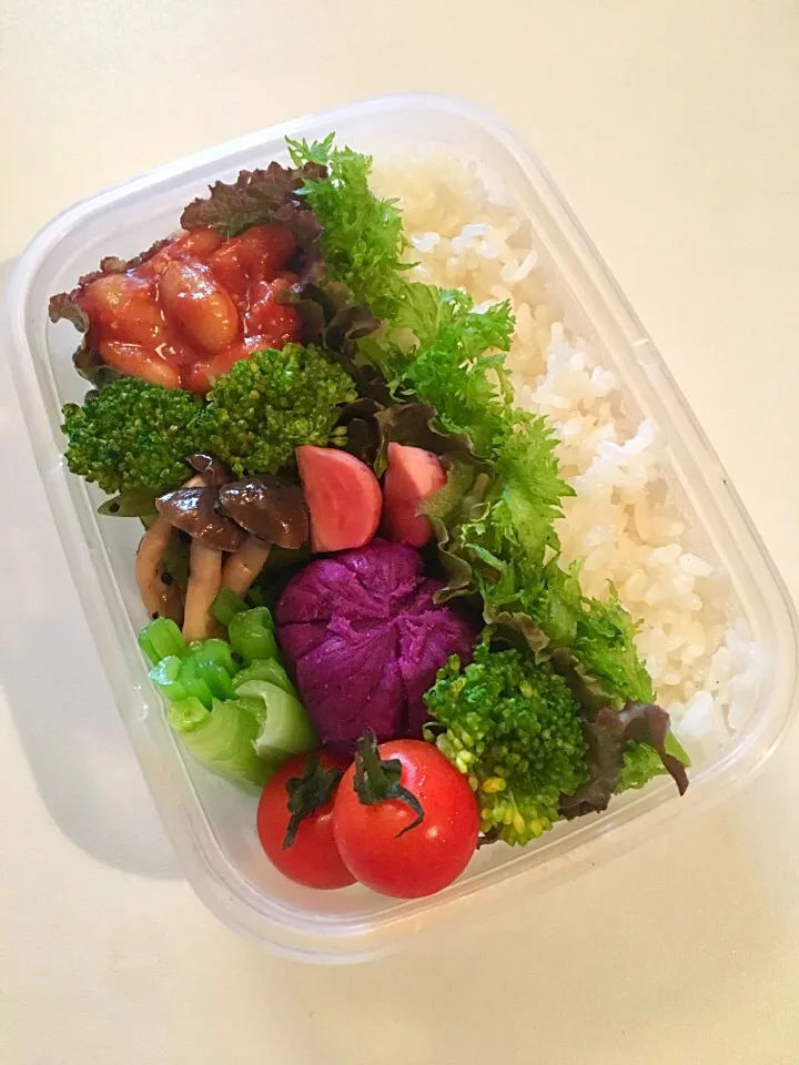 Veganお弁当🍱2016/11/21|RISARISAさん