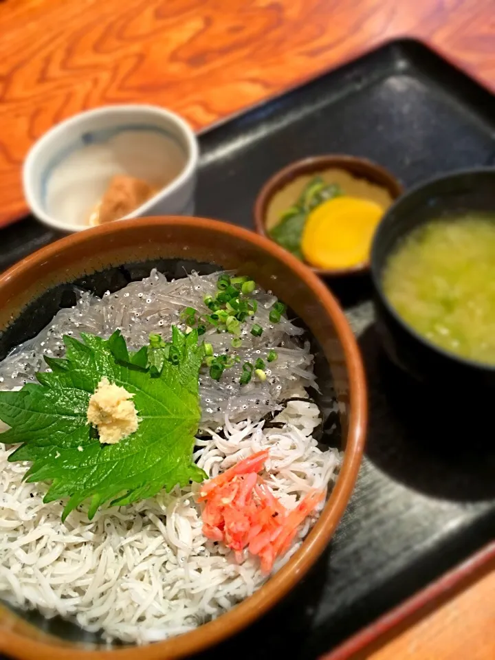 Snapdishの料理写真:しらす丼|さとまきさん