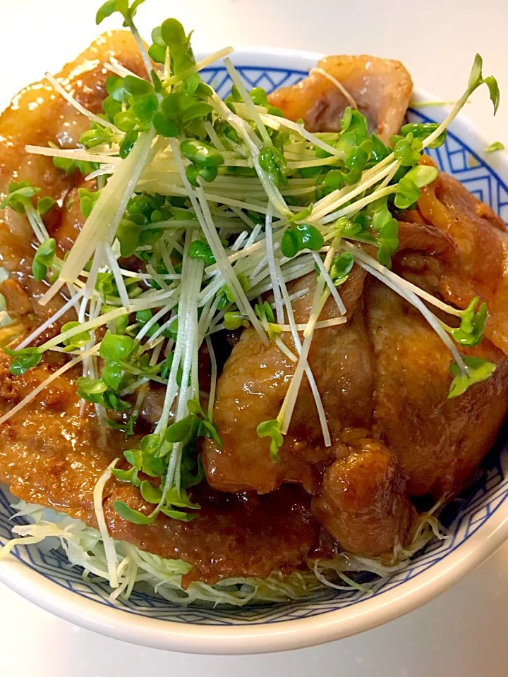 豚丼♡
ごはんに千切りキャベツたっぷり
甘辛いたれが食欲倍増♡笑|ゆうこさん