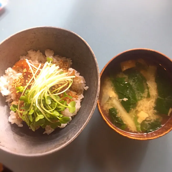 漬け丼とじゃがいもとほうれん草のお味噌汁|空飛ぶペンギンさん