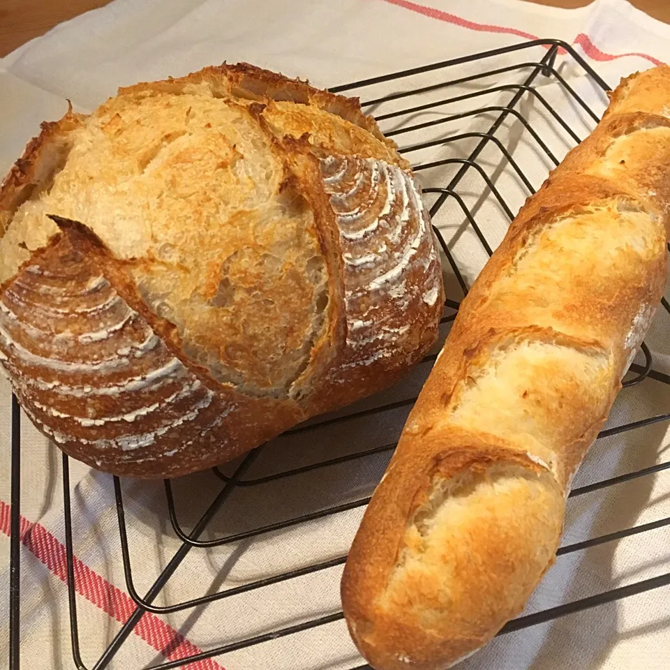 甘糀酵母でカンパ&バケット🍞|ba.a.ba_キッチンさん