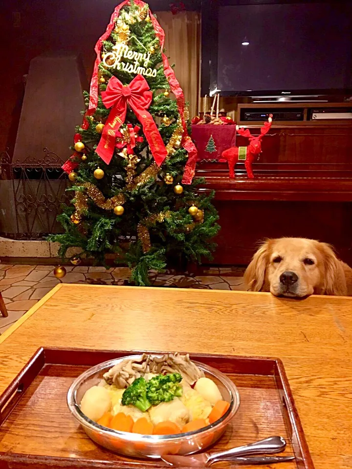 Snapdishの料理写真:ロール白菜😋北海道のじゃがいもと人参と舞茸と一緒に✨炊飯器で炊きました💪楽チン！ほろほろ！煮崩れもない💕|きゅうちゃんさん