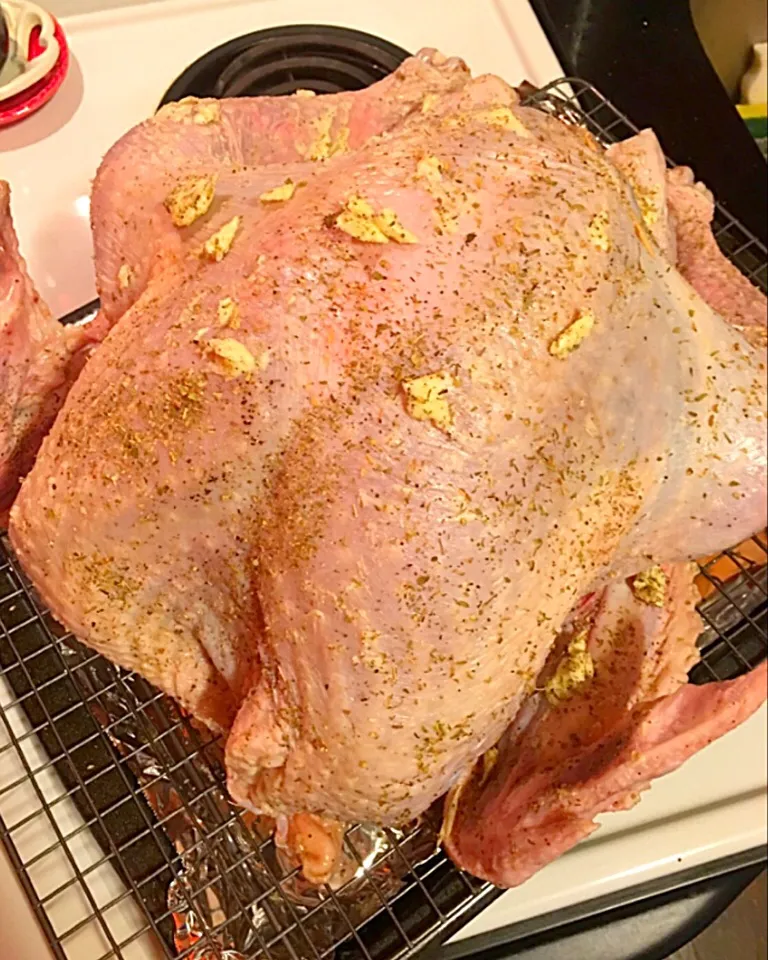 Dressing my 14 lbs turkey🦃|🌺IAnneさん