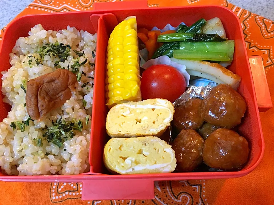 11/25☆ミートボール弁当☆〜明日は休み(๑˃̵ᴗ˂̵)〜|Satokoさん