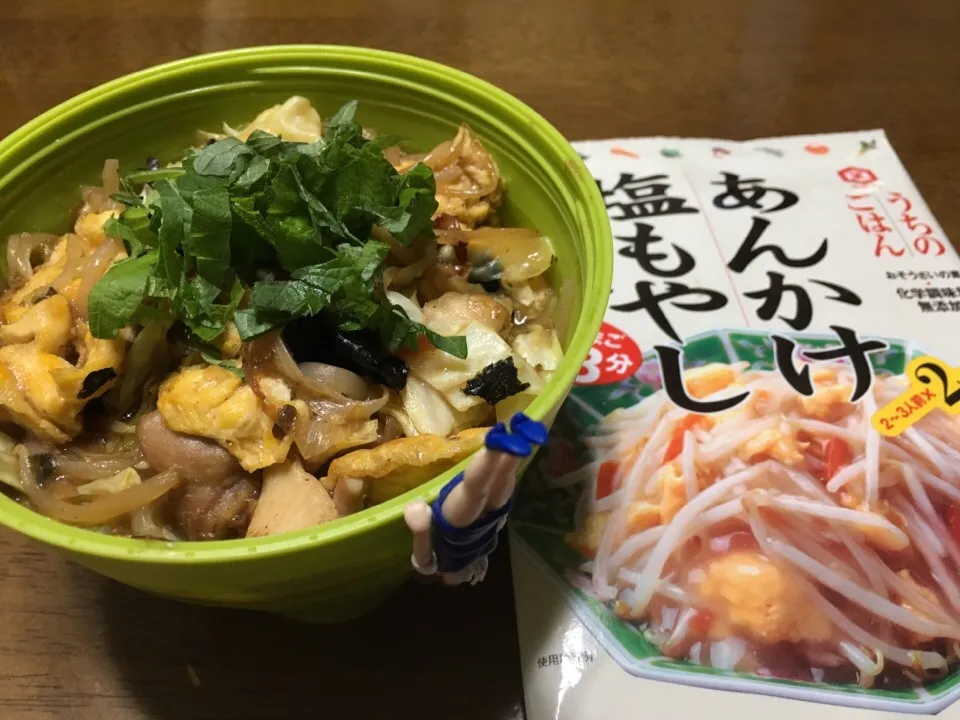 Snapdishの料理写真:うちのごはん、もやしあんかけ！肉食系に鶏肉足しちゃった(￣▽￣)|もっつぁさん