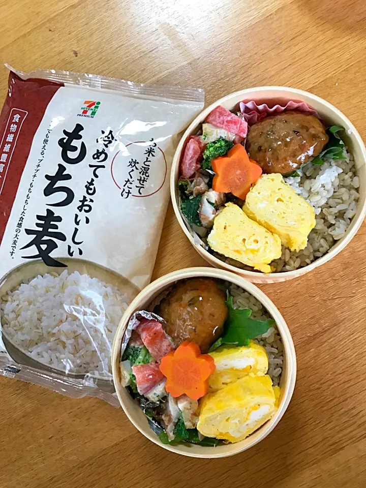 今日の夫婦弁当🍱
もち麦:白米、3:1で炊いてみました🤗
野菜いろいろつくね、ブロッコリーとトマトと竹輪のマヨ和え、小松菜と椎茸のおかか胡麻和え、玉子焼き🎶|5ネコママさん