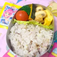 幼稚園弁当|さとねこさん