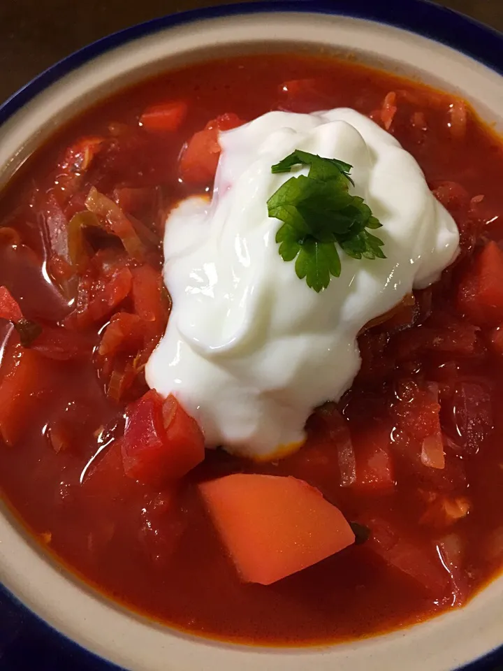 Ukrainian Red Borsch;))|aястасияさん