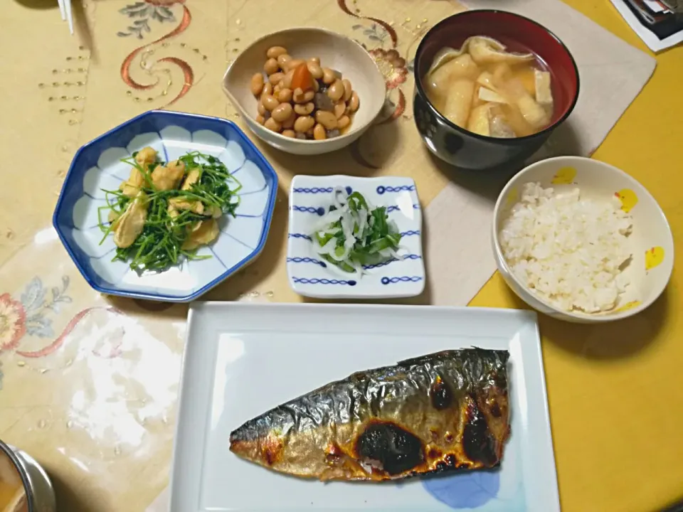 晩ごはん
  - 焼き ごまさば
  - ３週間待って再収穫の豆苗と薄あげの七味でピリカラごま油炒め
  - 五目煮豆
  - 大根の葉と大根塩揉みおつけもの
  - 豆腐ワカメ薄あげお味噌汁|korinoさん