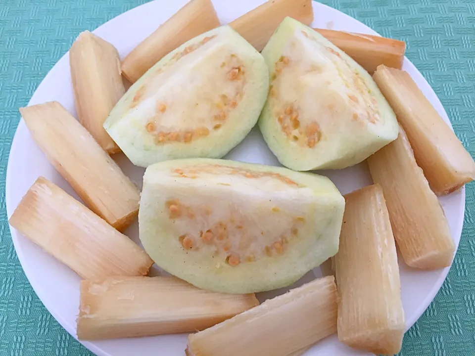 Guava and sugar cane snacks. 😊|Gecko Mdさん