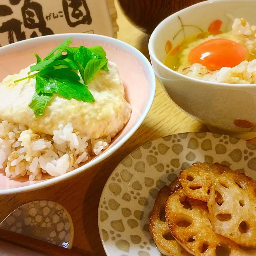 自然薯とろろ麦ご飯、卵かけご飯／TORORO-Japanese Yam Creamed , Raw Egg on Rice|angiee♡さん