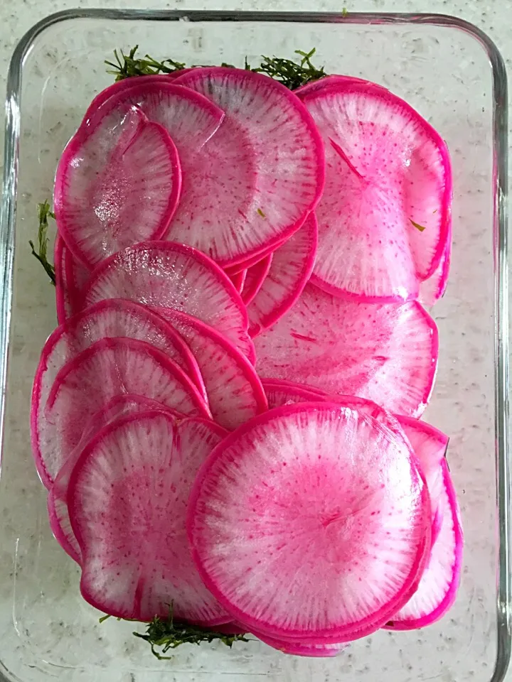 【ー5歳のお料理教室】簡単時短おうちごはん💖常備おかず・紅大根の浅漬け💖|チコさん