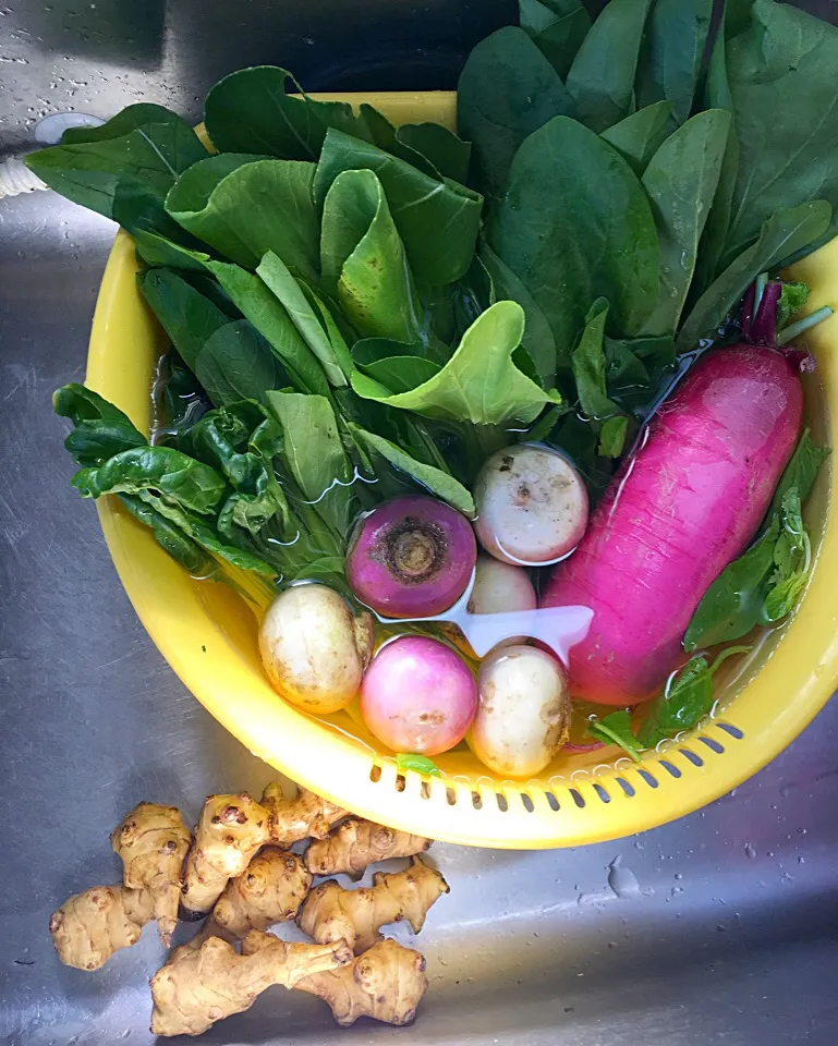 【ー5歳のお料理教室】簡単時短おうちごはん💖有機野菜いろいろ💖|チコさん