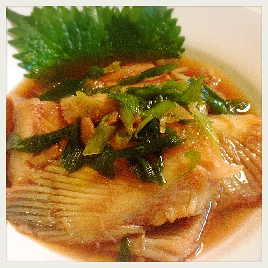 カスベの煮付け。Simmered ray's fin|toyamadaさん