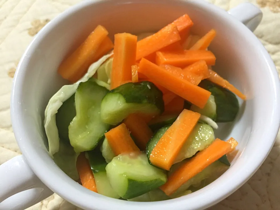 Vegetables pickles|yeni kartikasariさん