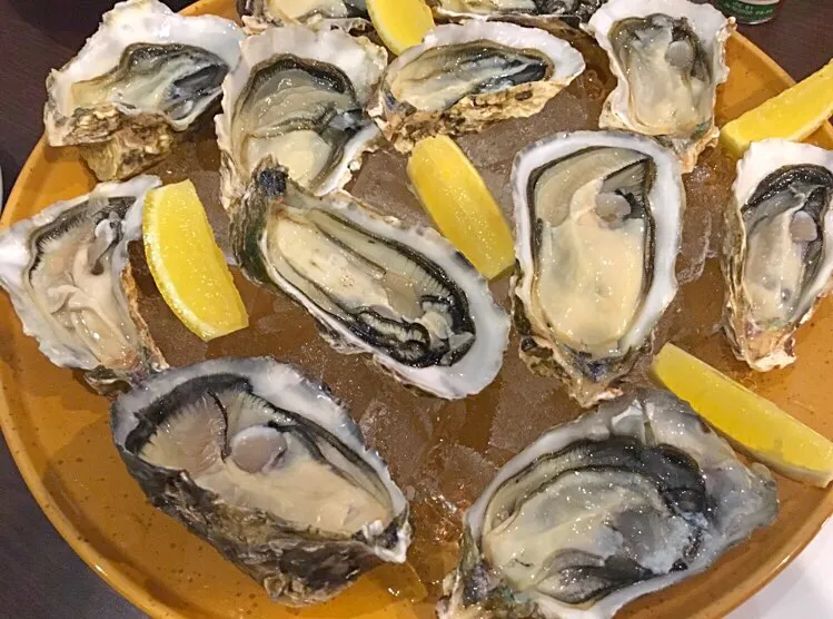 Freshly shucked Oysters|Carin Tayさん