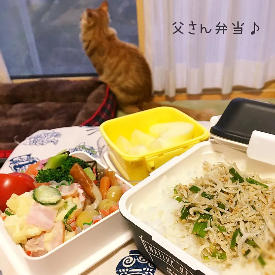 父さん弁当♪|のりころさん