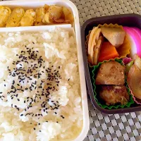 Snapdishの料理写真:産前と変わらずな旦那弁当|みほちさん